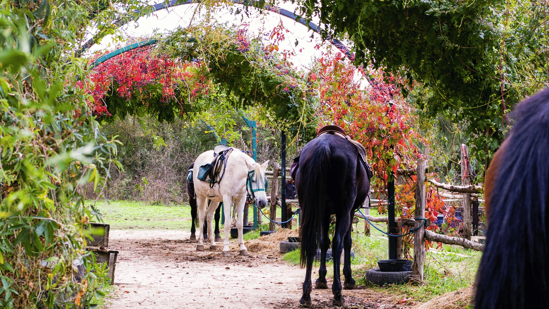 experiencias relax naturaleza